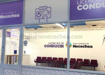 licencias-conducir- Toledo 222