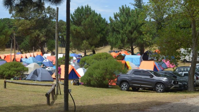 Campamento-Scout3