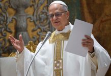 EL GOBIERNO ARGENTINO MANTIENE LA ESPERANZA DE TENER EN EL PAÌS AL PAPA LEÒN.
